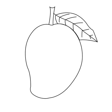 Mango Drawing Vector Art, Icons, and Graphics for .
